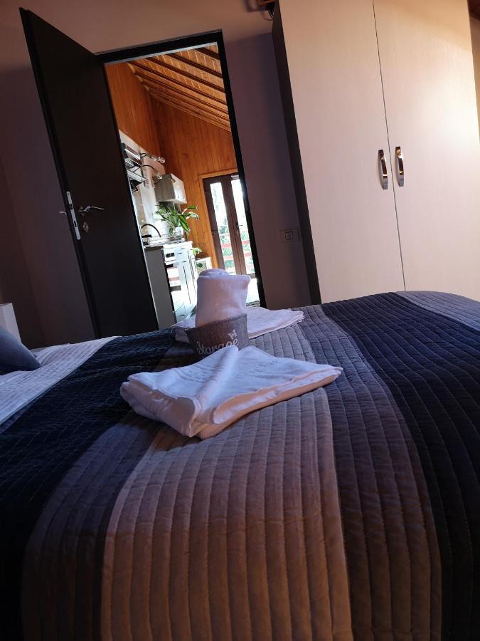 Snug Apartments - Private Parking Near Downtown Braşov Eksteriør billede