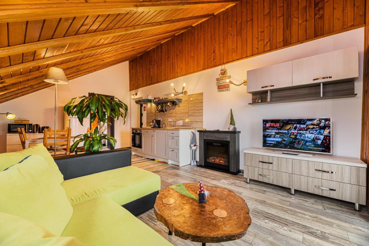 Snug Apartments - Private Parking Near Downtown Braşov Eksteriør billede