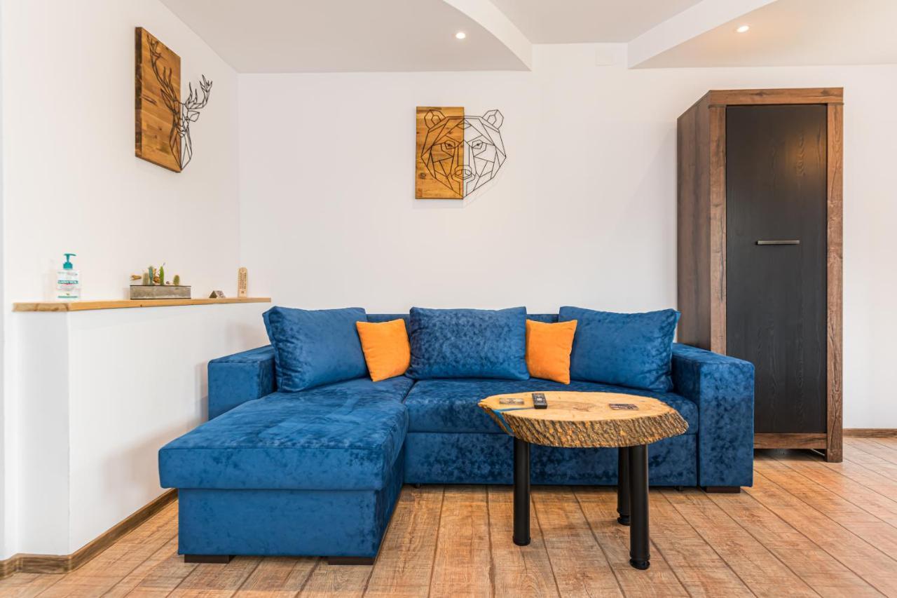 Snug Apartments - Private Parking Near Downtown Braşov Eksteriør billede