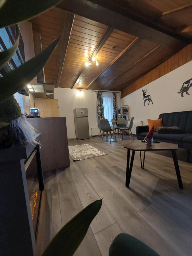 Snug Apartments - Private Parking Near Downtown Braşov Eksteriør billede