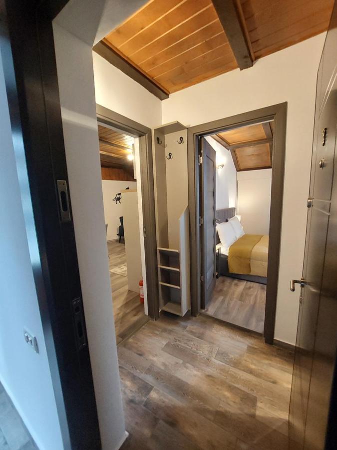 Snug Apartments - Private Parking Near Downtown Braşov Eksteriør billede