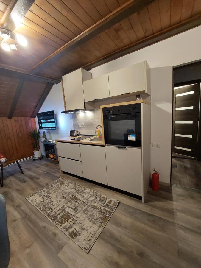 Snug Apartments - Private Parking Near Downtown Braşov Eksteriør billede