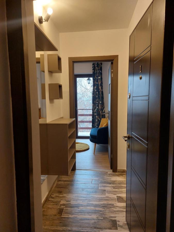 Snug Apartments - Private Parking Near Downtown Braşov Eksteriør billede