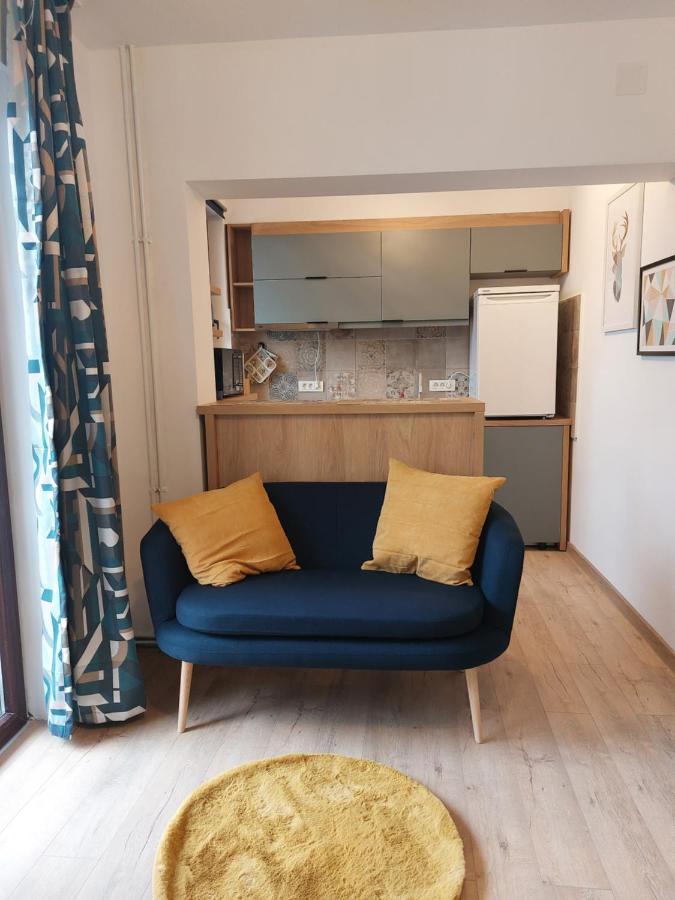 Snug Apartments - Private Parking Near Downtown Braşov Eksteriør billede