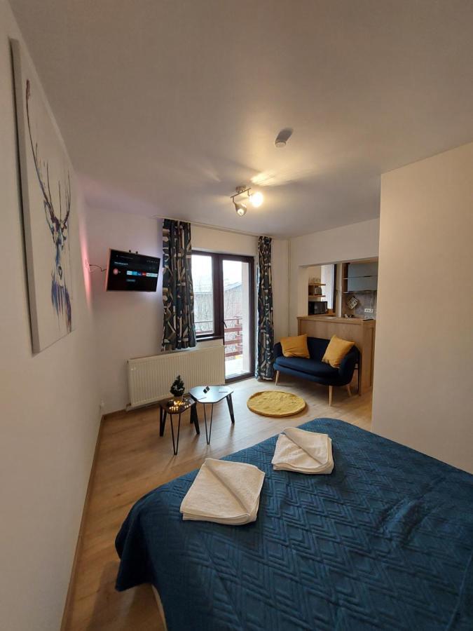 Snug Apartments - Private Parking Near Downtown Braşov Eksteriør billede